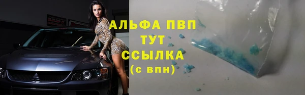 гидра Аркадак