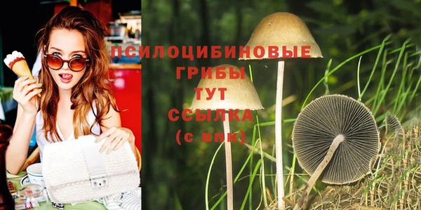 гидра Аркадак