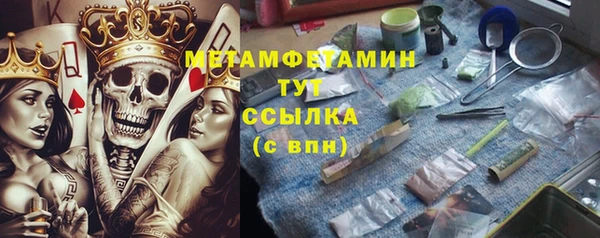 гидра Аркадак
