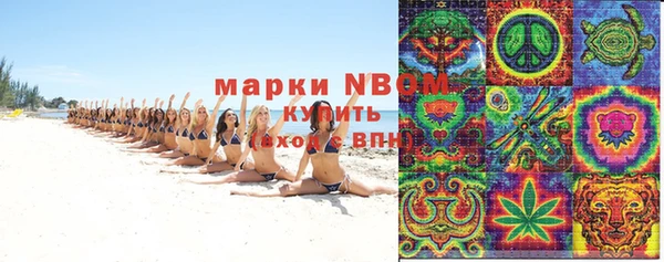 гидра Аркадак