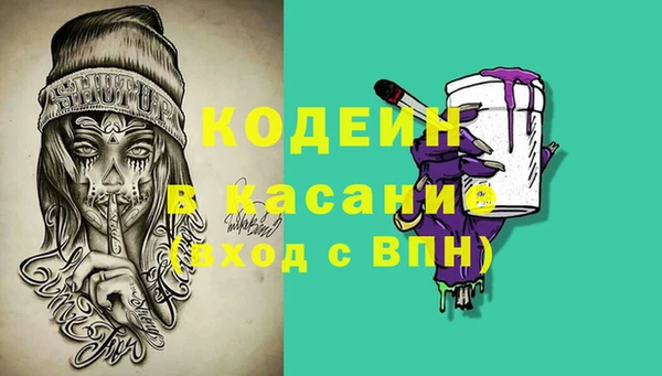 гидра Аркадак