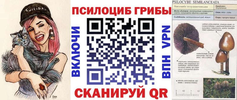 Псилоцибиновые грибы Psilocybine cubensis  наркошоп  Среднеуральск 